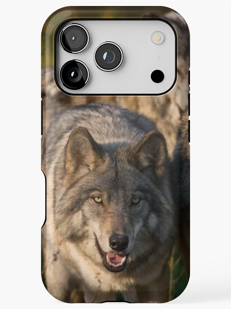 Thumbnail 1 of 4, iPhone Case, Timber Wolves designed and sold by WolvesOnly.