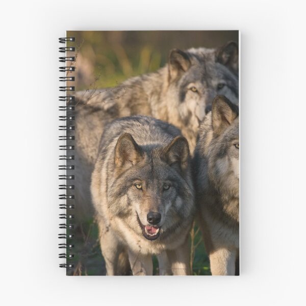 Item preview, Timber Wolves designed and sold by WolvesOnly.