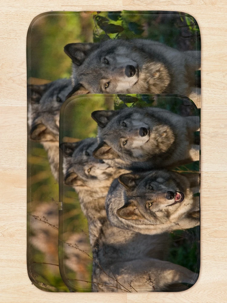 Thumbnail 5 of 6, Bath Mat, Timber Wolves designed and sold by WolvesOnly.