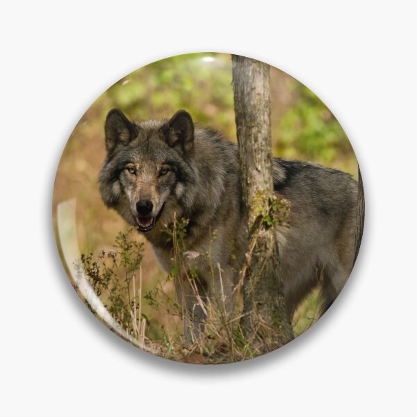Item preview, Timber Wolf designed and sold by WolvesOnly.