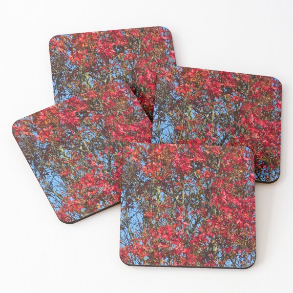 Item preview, November Leaves - Red Maple Tree designed and sold by wiggyofipswich.
