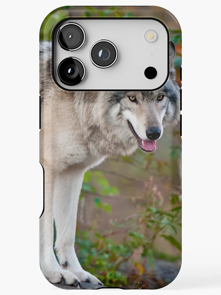 Thumbnail 1 of 4, iPhone Case, Timber Wolves designed and sold by WolvesOnly.