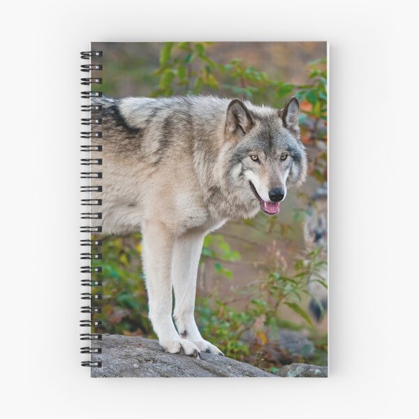 Artikelvorschau, Timber Wolves entworfen und verkauft von WolvesOnly.
