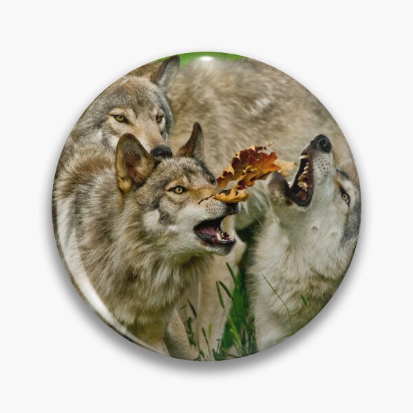 Item preview, Timber Wolves at Play designed and sold by WolvesOnly.