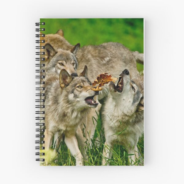 Item preview, Timber Wolves at Play designed and sold by WolvesOnly.