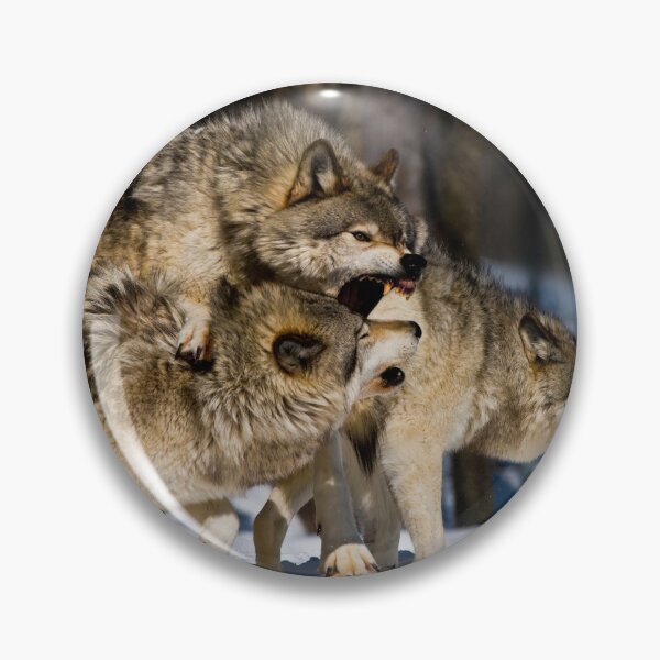 Artikelvorschau, Timber Wolves entworfen und verkauft von WolvesOnly.