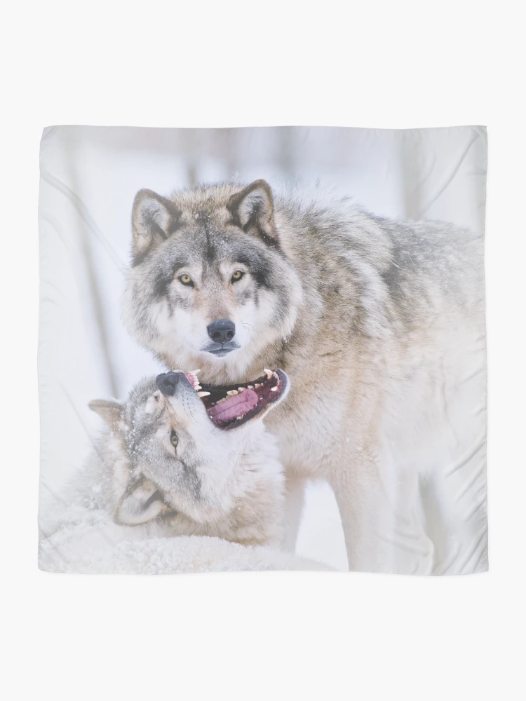 Thumbnail 2 of 3, Scarf, Timber Wolves designed and sold by WolvesOnly.
