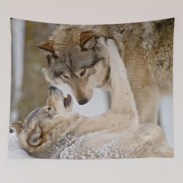 Tapestry
