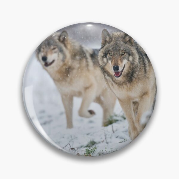 Item preview, Timber Wolves designed and sold by WolvesOnly.