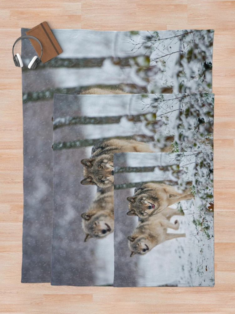Thumbnail 5 of 6, Throw Blanket, Timber Wolves designed and sold by WolvesOnly.