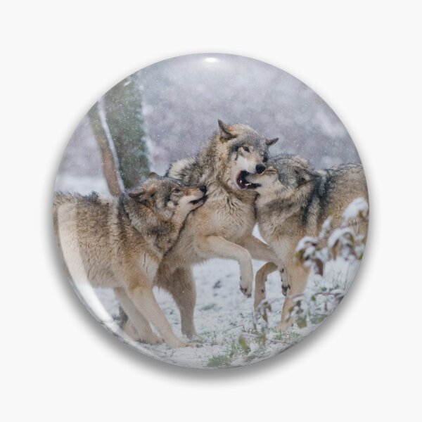 Artikelvorschau, Timber Wolves entworfen und verkauft von WolvesOnly.