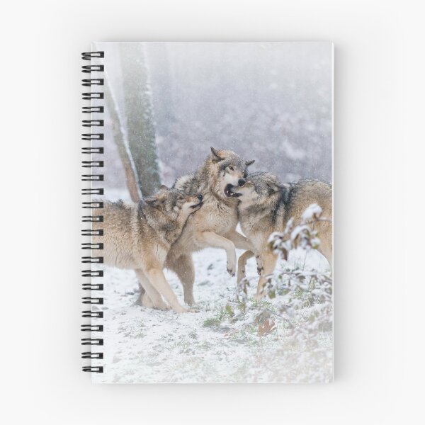 Item preview, Timber Wolves designed and sold by WolvesOnly.