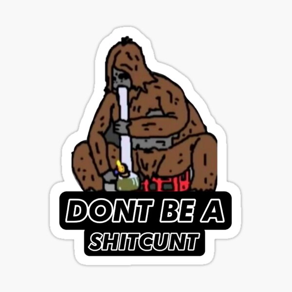Dont be a shitcunt Sticker