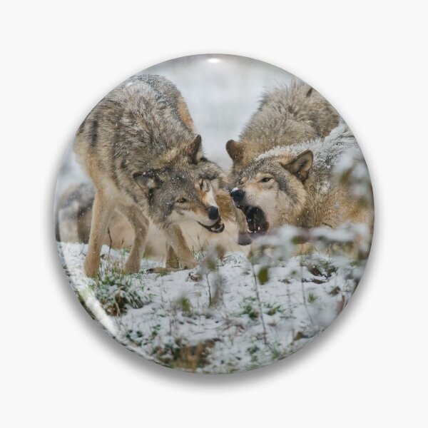 Item preview, Timber Wolves designed and sold by WolvesOnly.