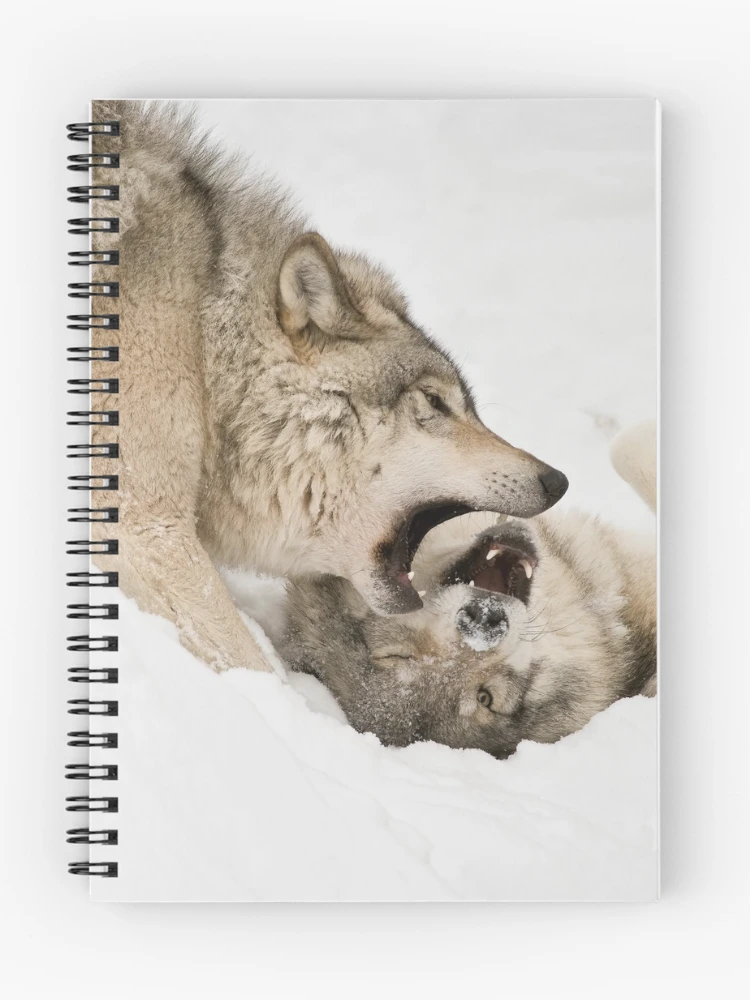 Thumbnail 1 of 3, Journal, Timber Wolves designed and sold by WolvesOnly.