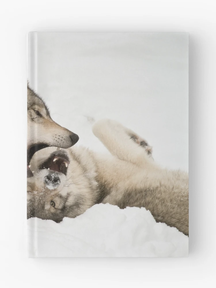 Thumbnail 1 of 3, Journal, Timber Wolves designed and sold by WolvesOnly.