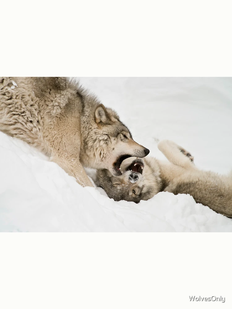 Thumbnail 6 von 6, Pullover, Timber Wolves designt und verkauft von WolvesOnly.