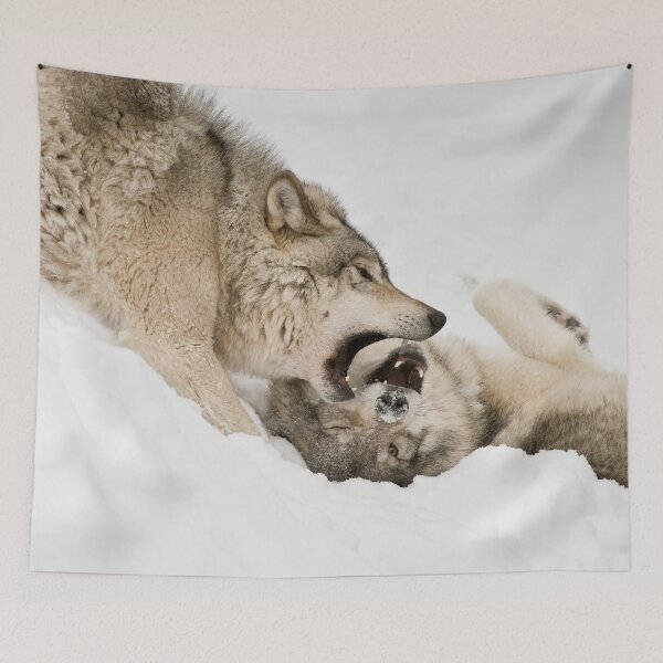 Tapestry