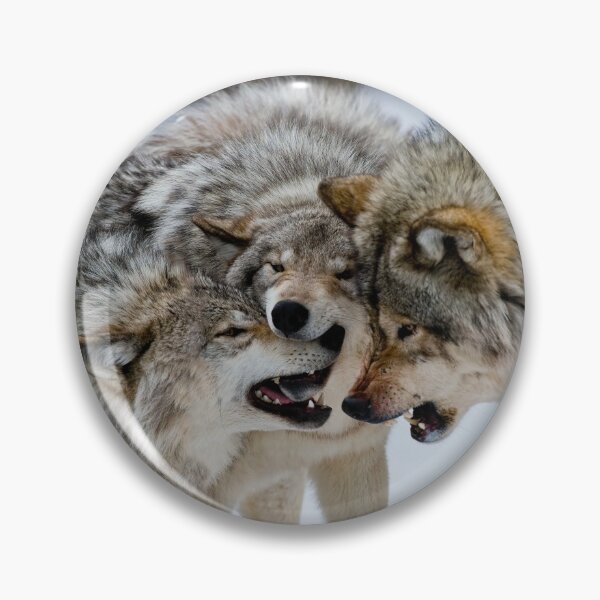Artikelvorschau, Timber Wolves entworfen und verkauft von WolvesOnly.