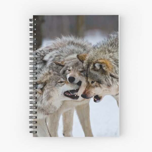 Artikelvorschau, Timber Wolves entworfen und verkauft von WolvesOnly.