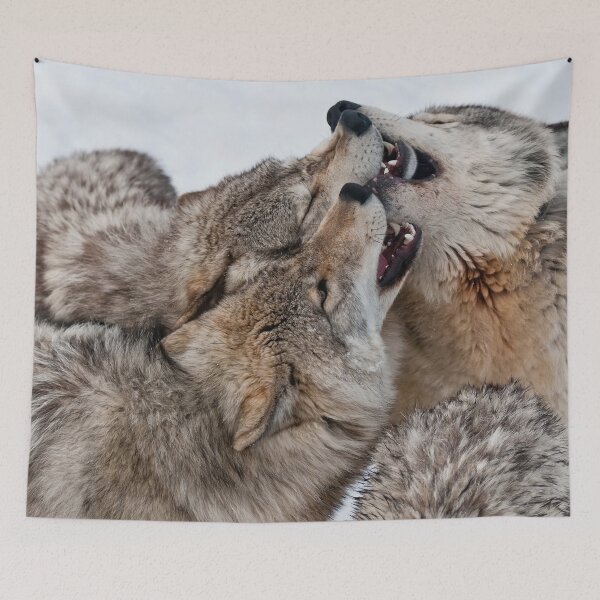 Tapestry