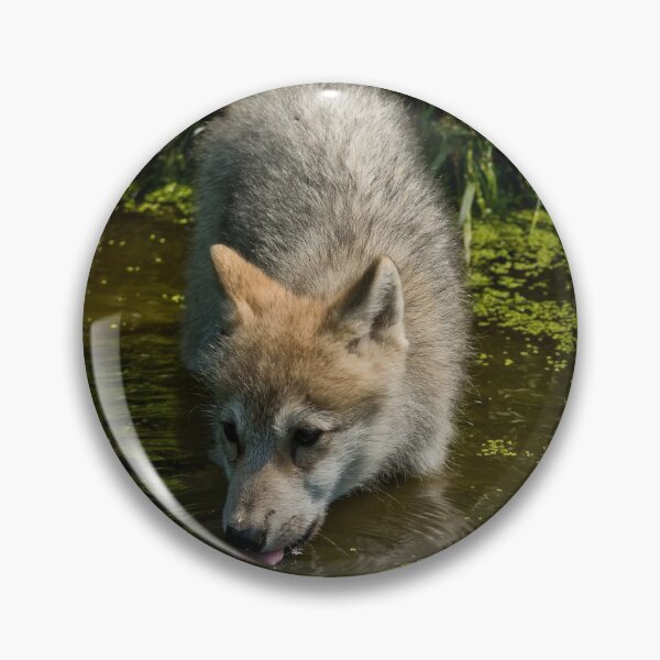 Item preview, Arctic Wolf Pup designed and sold by WolvesOnly.
