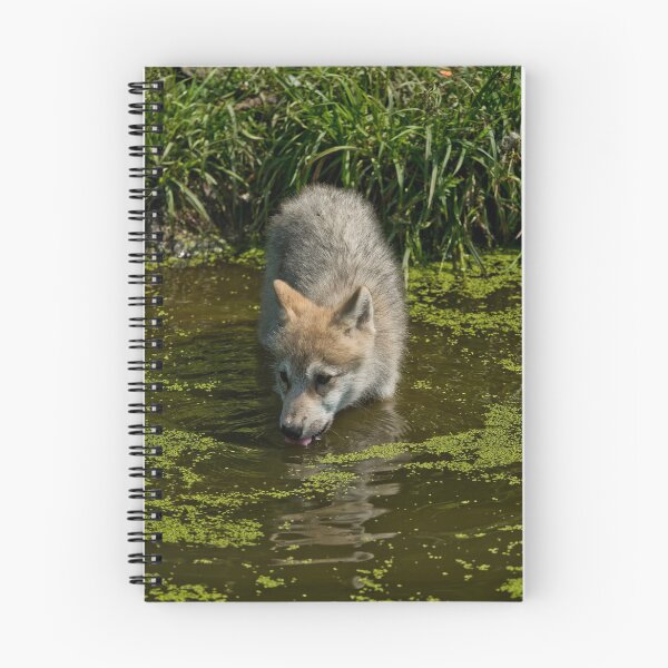 Item preview, Arctic Wolf Pup designed and sold by WolvesOnly.