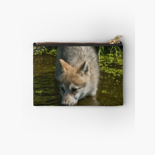 Item preview, Arctic Wolf Pup designed and sold by WolvesOnly.