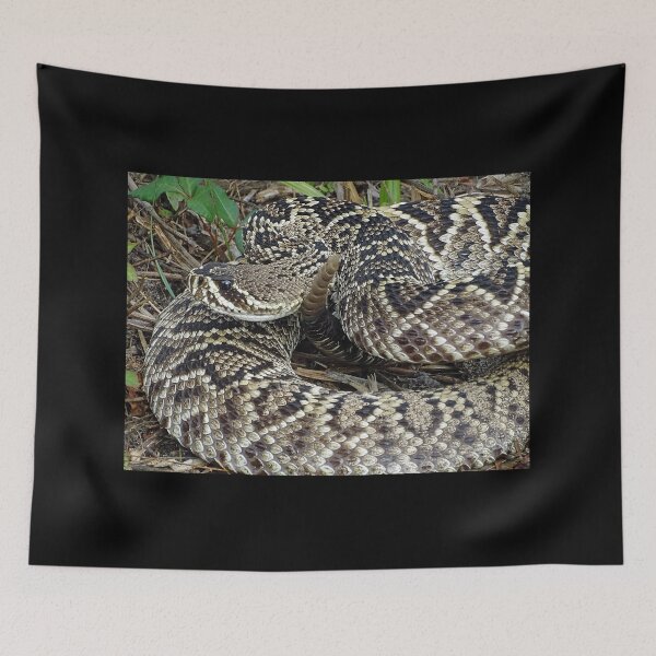 Item preview, Eastern Diamond Back Rattlesnake designed and sold by glink.
