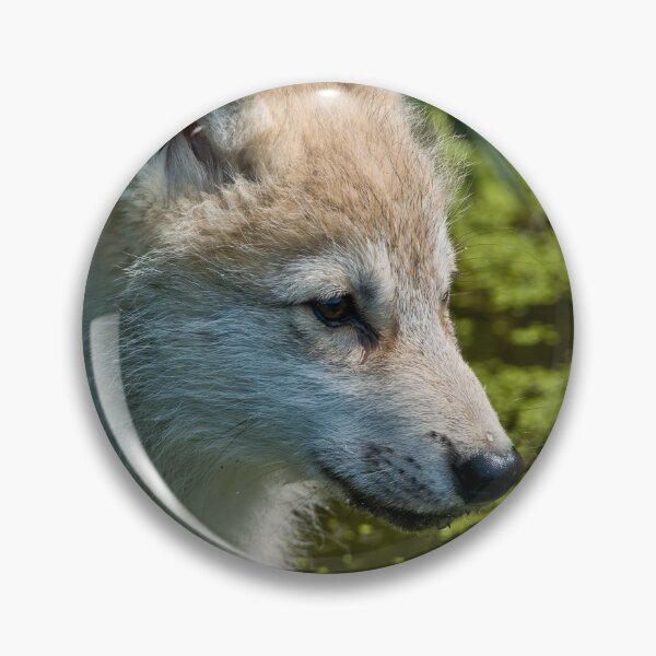 Artikelvorschau, Arctic Wolf Pup entworfen und verkauft von WolvesOnly.