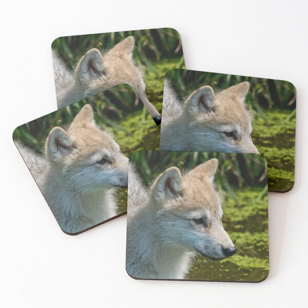 Item preview, Arctic Wolf Pup designed and sold by WolvesOnly.