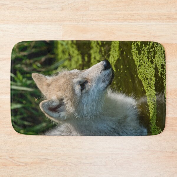 Artikelvorschau, Arctic Wolf Pup entworfen und verkauft von WolvesOnly.