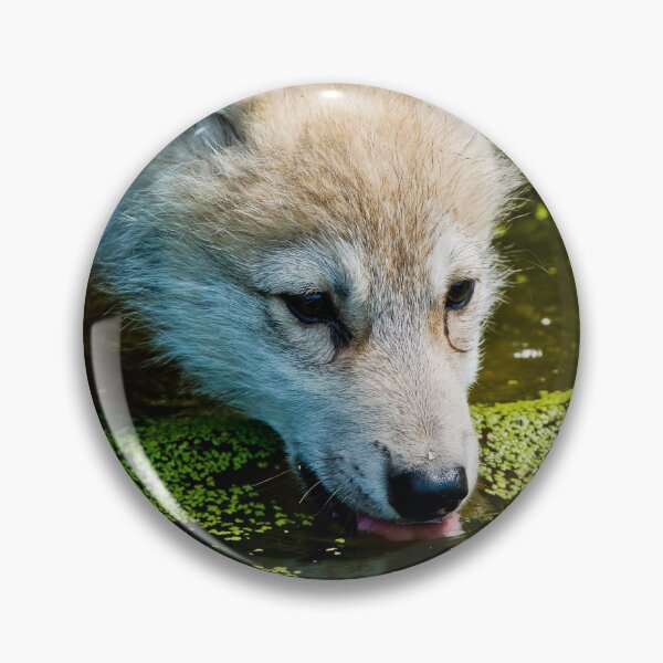 Item preview, Arctic Wolf Pup designed and sold by WolvesOnly.