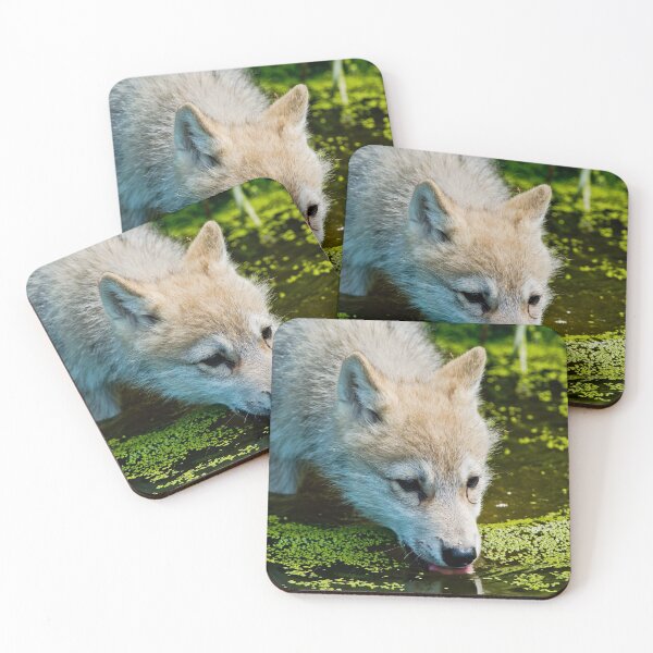 Item preview, Arctic Wolf Pup designed and sold by WolvesOnly.
