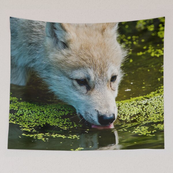 Item preview, Arctic Wolf Pup designed and sold by WolvesOnly.