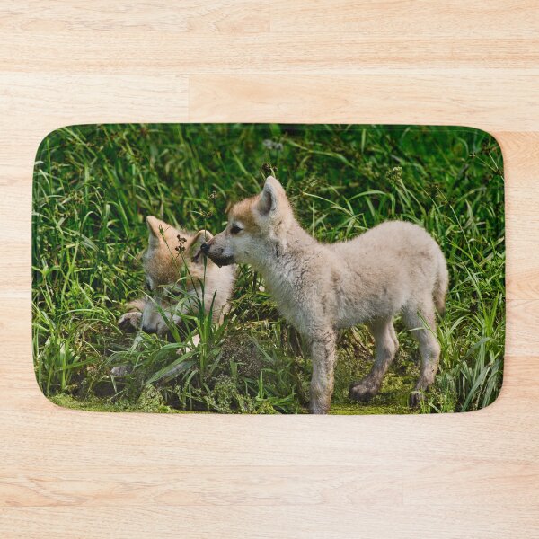 Aperçu de l'œuvre Arctic Wolf Pups créée et vendue par WolvesOnly.