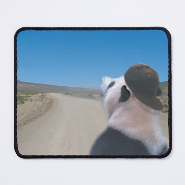 Item preview, Skater Panda In Desert designed and sold by AlexMancic.