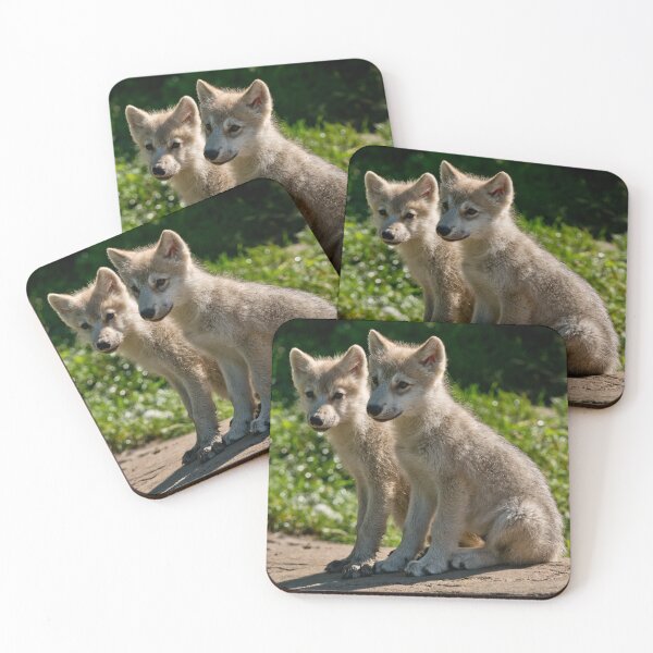 Item preview, Arctic Wolf Pups designed and sold by WolvesOnly.