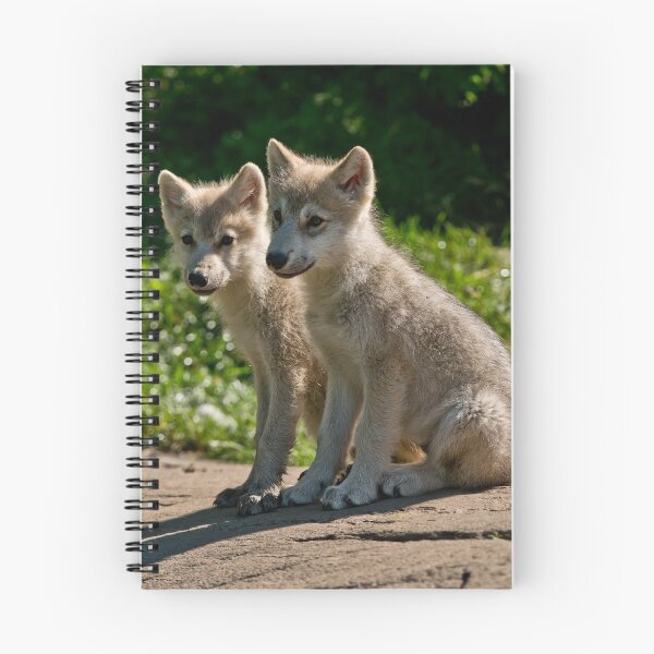 Item preview, Arctic Wolf Pups designed and sold by WolvesOnly.
