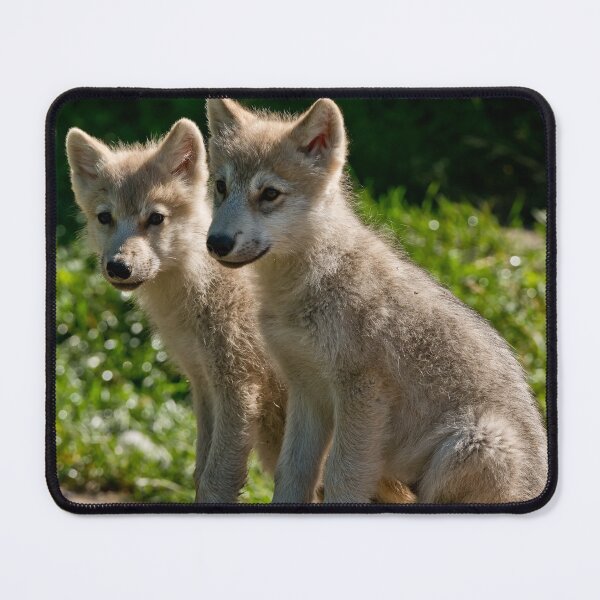 Item preview, Arctic Wolf Pups designed and sold by WolvesOnly.