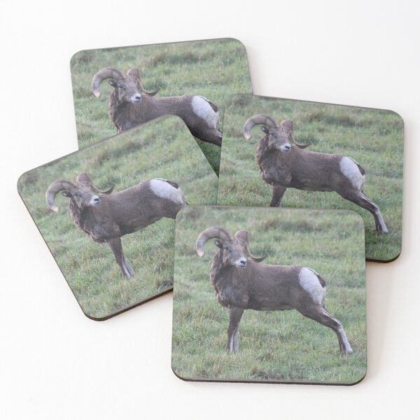 Item preview, Bighorn Sheep designed and sold by KDQuin .