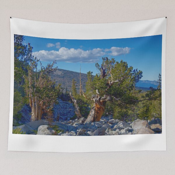 Item preview, 850_6872 designed and sold by wgcosby.