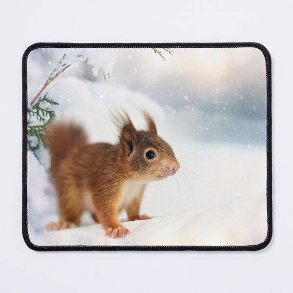 Item preview, Squirrels in the snow, winter squirrels designed and sold by HappyJungle.