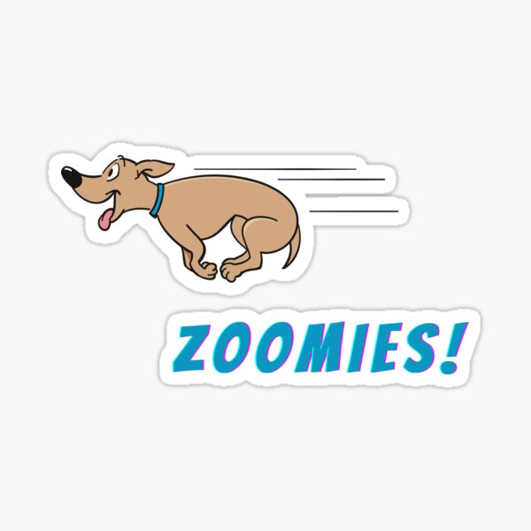 "Zoomies! (Blue)" Sticker for Sale by Redbubble