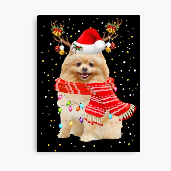 Pomeranian Meme Wall Art for Sale | Redbubble