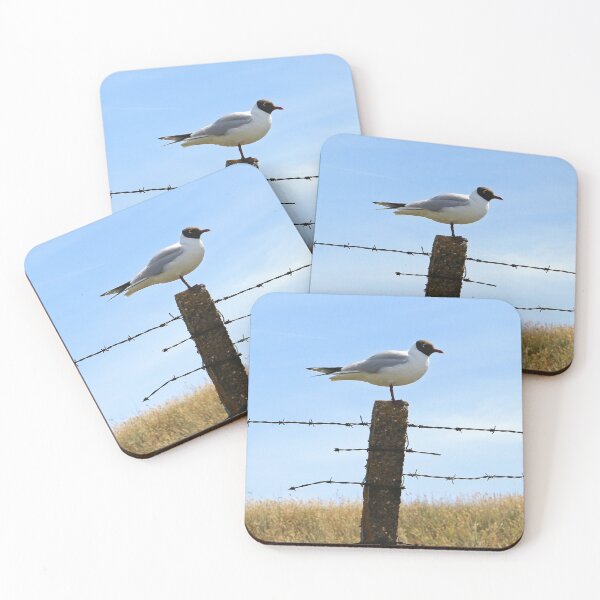 Item preview, Black Headed Gull designed and sold by pinkal.