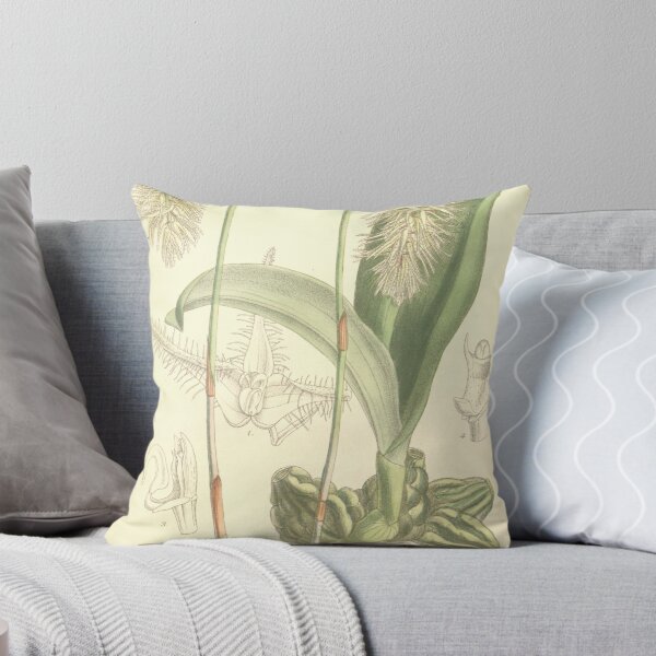 Item preview, Bulbophyllum comosum designed and sold by EsotericBotanic.