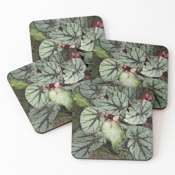 Item preview, Painted Leaf Begonia designed and sold by GardenArtworks.