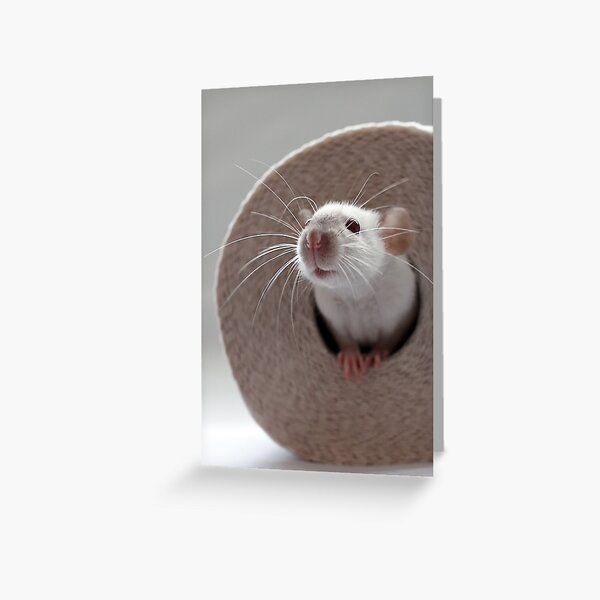 May I introduce myself? Greeting Card