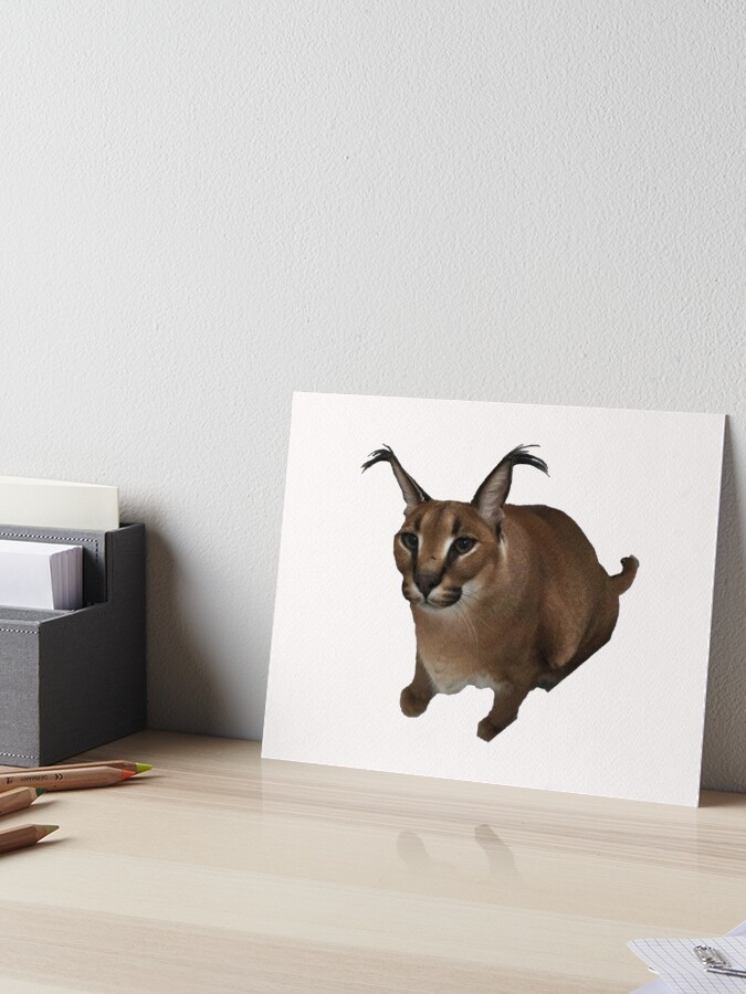 BIG FLOPPA  Cat memes, Cat tshirt, Caracal cat